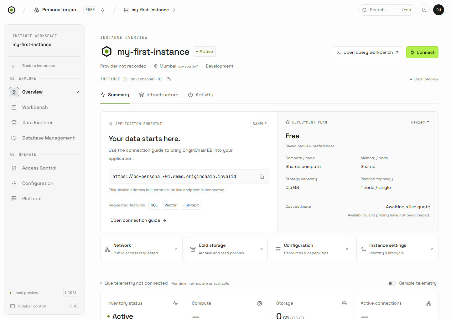 Current OriginChainDB instance overview with its full workspace sidebar, header, and connection and configuration links.