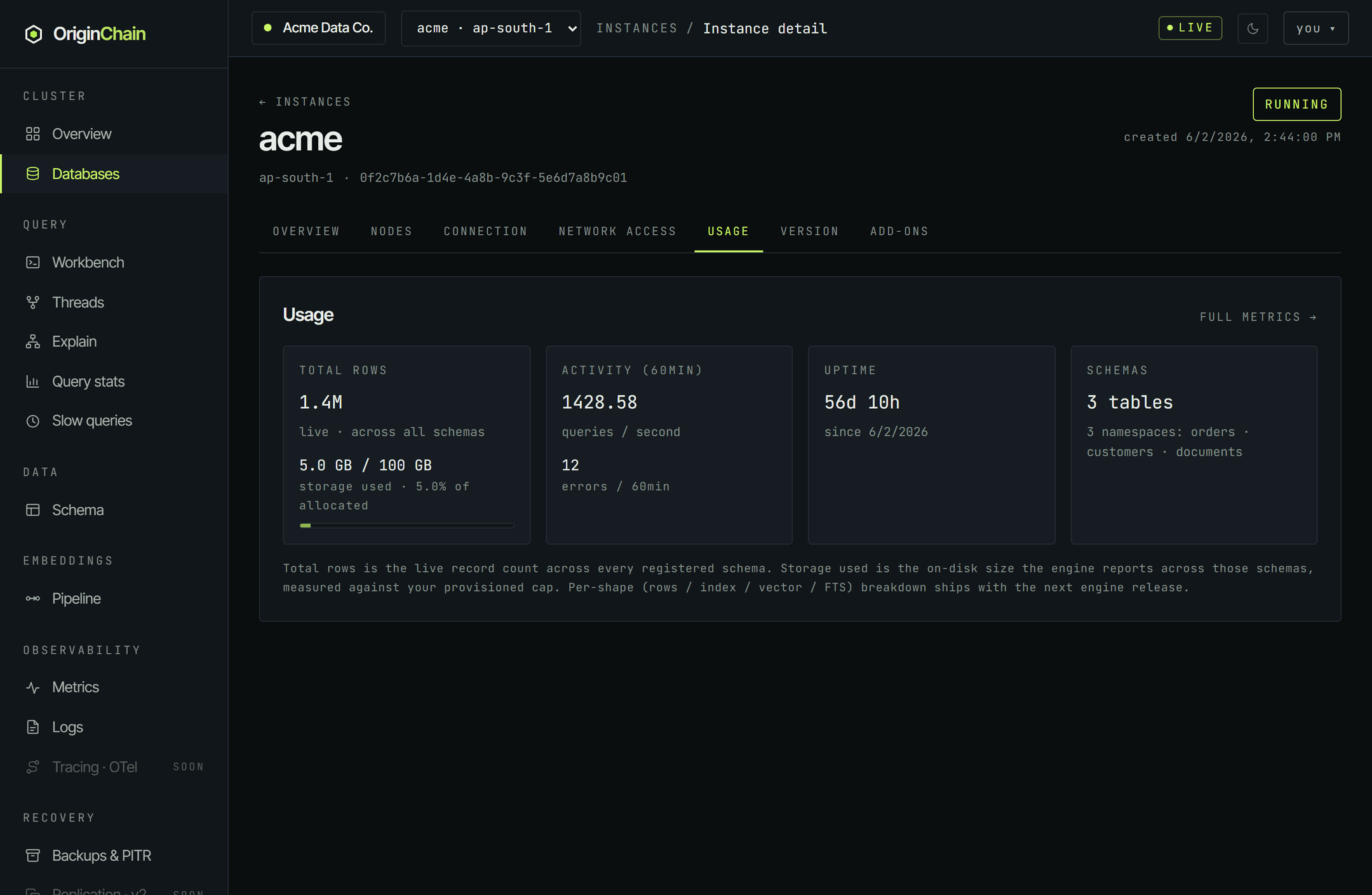 The Usage tab showing four tiles - total rows with a storage-used bar, activity over the last sixty minutes with queries per second and errors, uptime, and a schema count naming the registered tables.
