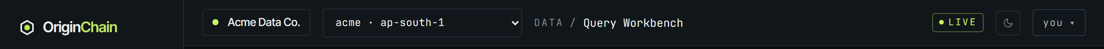 The console top bar: the account pill reading Acme Data Co., then the instance selector showing acme with its region, the breadcrumb, a green LIVE status pill, a theme toggle and the user menu.